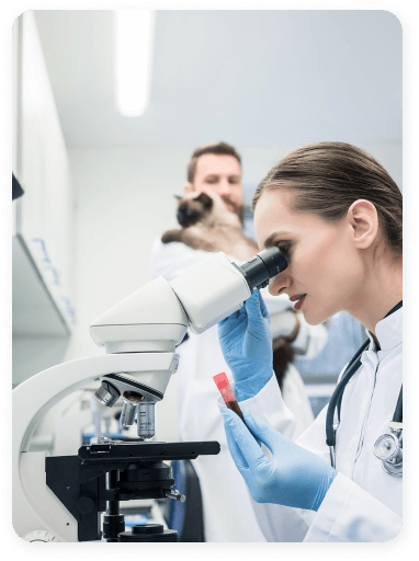 Laboratory